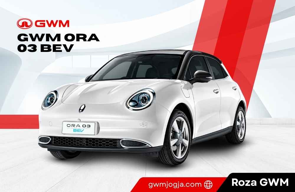 Unit GWM ORA 03 BEV